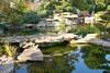 Koipond